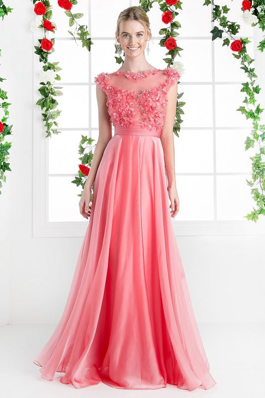 CD 218 Size 4 Long A Line Chiffon Sheer 3d Flower Formal Dress Cap Sleeve Evening Gown